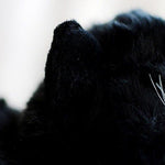 Toy - LightningStore Adorable Cute Black Baby Cat Kitten Doll Realistic Looking Stuffed Animal Plush Toys Plushie Children's Gifts Animals