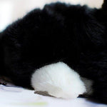Toy - LightningStore Adorable Cute Black Baby Cat Kitten Doll Realistic Looking Stuffed Animal Plush Toys Plushie Children's Gifts Animals