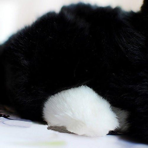 https://www.lightningstoreonline.com/cdn/shop/products/toy-lightningstore-adorable-cute-black-baby-cat-kitten-doll-realistic-looking-stuffed-animal-plush-toys-plushie-children-s-gifts-animals-7_large.jpg?v=1571439610
