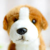Toy - LightningStore Adorable Cute Brown And White Beagle Jack Russell Dog Puppy Mixed Hybrid Doll Realistic Looking Stuffed Animal Plush Toys Plushie Children's Gifts Animals