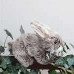 Toy - LightningStore Adorable Cute Brown And White Bunny Rabbit Stuffed Animal Doll Realistic Looking Plush Toys Plushie Children's Gifts Animals