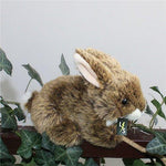 Toy - LightningStore Adorable Cute Brown Bunny Rabbit Stuffed Animal Doll Realistic Looking Plush Toys Plushie Children's Gifts Animals