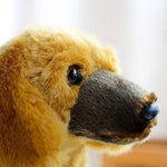 Toy - LightningStore Adorable Cute Brown Yellow Dachshund Long Body Sausage Puppy Baby Dog Doll Realistic Looking Stuffed Animal Plush Toys Plushie Children's Gifts Animals