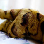 Toy - LightningStore Adorable Cute Cat Lynx Rufus Doll Realistic Looking Stuffed Animal Plush Toys Plushie Children's Gifts Animals