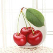 Toy - LightningStore Adorable Cute Cherry Pillow Cushion Stuffed Animal Doll Realistic Looking Plush Toys Plushie Children's Gifts Animals
