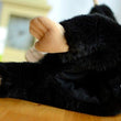 Toy - LightningStore Adorable Cute Chimpanzee Stuffed Animal Doll Realistic Looking Plush Toys Plushie Children's Gifts Animals