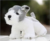Toy - LightningStore Adorable Cute Dog Puppy Brothers Poodle Siberian Husky Jack Russsel And Many More Realistic Looking Stuffed Animal Plush Toys Plushie Children's Gifts Animals