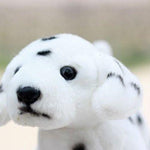 Toy - LightningStore Adorable Cute Dog Puppy Brothers Poodle Siberian Husky Jack Russsel And Many More Realistic Looking Stuffed Animal Plush Toys Plushie Children's Gifts Animals