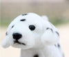 Toy - LightningStore Adorable Cute Dog Puppy Brothers Poodle Siberian Husky Jack Russsel And Many More Realistic Looking Stuffed Animal Plush Toys Plushie Children's Gifts Animals