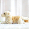 Toy - LightningStore Adorable Cute Golden Retriever Labrador Puppy Baby Dog Doll Realistic Looking Stuffed Animal Plush Toys Plushie Children's Gifts Animals