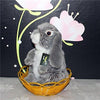 Toy - LightningStore Adorable Cute Gray Grey Brown Rabbit Bunny Stuffed Animal Doll Realistic Looking Plush Toys Plushie Children's Gifts Animals
