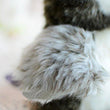 Toy - LightningStore Adorable Cute Gray Grey Collared Scops Owl Stuffed Animal Doll Realistic Looking Plush Toys Plushie Children's Gifts Animals