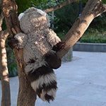 Toy - LightningStore Adorable Cute Innocent Racoon Thief Doll Realistic Looking Stuffed Animal Plush Toys Plushie Children's Gifts Animals