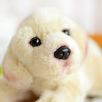 Toy - LightningStore Adorable Cute Labrador Golden Retriever Puppy Baby Dog Doll Realistic Looking Stuffed Animal Plush Toys Plushie Children's Gifts Animals + Toy Organizer Bag Bundle