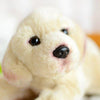 Toy - LightningStore Adorable Cute Labrador Golden Retriever Puppy Baby Dog Doll Realistic Looking Stuffed Animal Plush Toys Plushie Children's Gifts Animals + Toy Organizer Bag Bundle