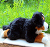 Toy - LightningStore Adorable Cute Large 40cm Bernese Mountain Dog Doll Realistic Looking Stuffed Animal Plush Toys Plushie Children's Gifts Animals