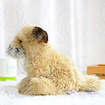Toy - LightningStore Adorable Cute Lion Cub Dog Puppy Baby Dog Doll Realistic Looking Stuffed Animal Plush Toys Plushie Children's Gifts Animals + Toy Organizer Bag Bundle