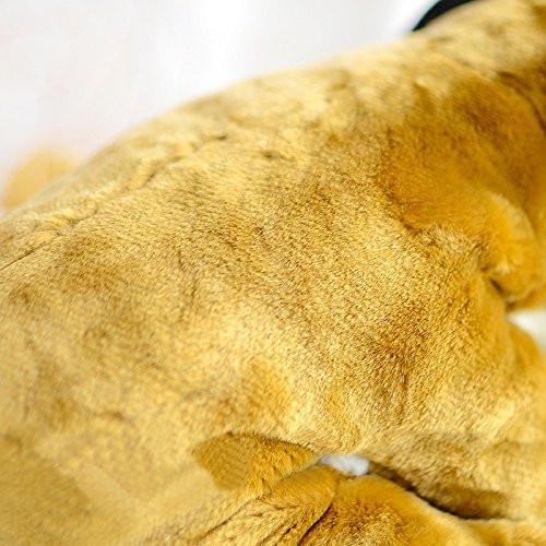 Toy - LightningStore Adorable Cute Lion Tiger Baby Cub Doll Realistic Looking Stuffed Animal Plush Toys Plushie Children's Gifts Animals