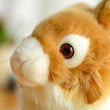 Toy - LightningStore Adorable Cute Netherland Dwarf Rabbit Bunny Stuffed Animal Doll Realistic Looking Plush Toys Plushie Children's Gifts Animals + Toy Organizer Bag Bundle