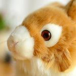 Toy - LightningStore Adorable Cute Netherland Dwarf Rabbit Bunny Stuffed Animal Doll Realistic Looking Plush Toys Plushie Children's Gifts Animals + Toy Organizer Bag Bundle