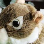 Toy - LightningStore Adorable Cute Nut Walnut Acorn Squirrel Stuffed Animal Doll Realistic Looking Plush Toys Plushie Children's Gifts Animals