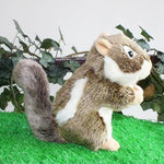Toy - LightningStore Adorable Cute Nut Walnut Acorn Squirrel Stuffed Animal Doll Realistic Looking Plush Toys Plushie Children's Gifts Animals