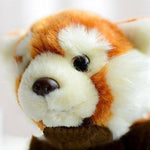 Toy - LightningStore Adorable Cute Orange Racoon Panda Bear Fox Hybrid Doll Realistic Looking Stuffed Animal Plush Toys Plushie Children's Gifts Animals