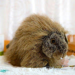 Toy - LightningStore Adorable Cute Porcupine Squirrel Hybrid Doll Realistic Looking Stuffed Animal Plush Toys Plushie Children's Gifts Animals + Toy Organizer Bag Bundle