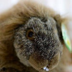 Toy - LightningStore Adorable Cute Porcupine Squirrel Hybrid Doll Realistic Looking Stuffed Animal Plush Toys Plushie Children's Gifts Animals + Toy Organizer Bag Bundle