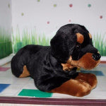 Toy - LightningStore Adorable Cute Rottweiler Puppy Dog Doll Stuffed Animal Doll Realistic Looking Plush Toys Plushie Children's Gifts Animals + Toy Organizer Bag Bundle