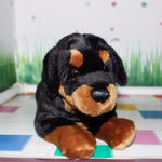 Toy - LightningStore Adorable Cute Rottweiler Puppy Dog Doll Stuffed Animal Doll Realistic Looking Plush Toys Plushie Children's Gifts Animals + Toy Organizer Bag Bundle