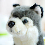 Toy - LightningStore Adorable Cute Siberian Husky Baby Puppy Dog Doll Realistic Looking Stuffed Animal Plush Toys Plushie Children's Gifts Animals
