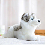 Toy - LightningStore Adorable Cute Siberian Husky Doll Realistic Looking Stuffed Animal Plush Toys Plushie Children's Gifts Animals