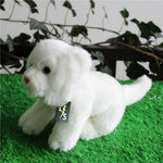 Toy - LightningStore Adorable Cute Sitting Baby White Tiger Cub Cat Kitten Stuffed Animal Doll Realistic Looking Plush Toys Plushie Children's Gifts Animals