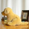 Toy - LightningStore Adorable Cute Sitting Golden Retriever Labrador Puppy Dog Stuffed Animal Doll Realistic Looking Plush Toys Plushie Children's Gifts Animals + Toy Organizer Bag Bundle