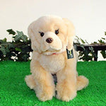 Toy - LightningStore Adorable Cute Sitting Golden Retriever Stuffed Animal Doll Realistic Looking Plush Toys Plushie Children's Gifts Animals