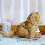 Toy - LightningStore Adorable Cute Sitting Lion Lioness Cub Baby Doll Realistic Looking Stuffed Animal Plush Toys Plushie Children's Gifts Animals