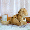Toy - LightningStore Adorable Cute Sitting Lion Lioness Cub Baby Doll Realistic Looking Stuffed Animal Plush Toys Plushie Children's Gifts Animals