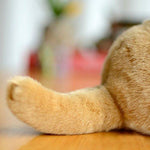 Toy - LightningStore Adorable Cute Sitting Lion Lioness Cub Stuffed Animal Doll Realistic Looking Plush Toys Plushie Children's Gifts Animals