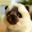 Toy - LightningStore Adorable Cute Sitting Siamese Tonkinese Snowshoe Himalayan Balinese Seychellois Cat Kitten Stuffed Animal Doll Realistic Looking Plush Toys Plushie Children's Gifts Animals