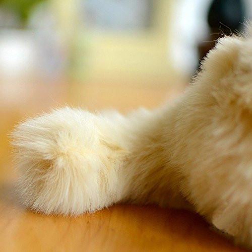 Toy - LightningStore Adorable Cute Sitting Siamese Tonkinese Snowshoe Himalayan Balinese Seychellois Cat Kitten Stuffed Animal Doll Realistic Looking Plush Toys Plushie Children's Gifts Animals