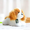 Toy - LightningStore Adorable Cute Sleeping Lying Beagle Puppy Baby Dog Doll Realistic Looking Stuffed Animal Plush Toys Plushie Children's Gifts Animals