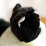 Toy - LightningStore Adorable Cute Sleeping Lying Black And White Oreo Cookie And Cream Cat Kitten Stuffed Animal Doll Realistic Looking Plush Toys Plushie Children's Gifts Animals