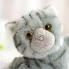 Toy - LightningStore Adorable Cute Sleeping Lying Gray Cat Kitten Stuffed Animal Doll Realistic Looking Plush Toys Plushie Children's Gifts Animals