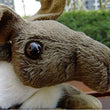 Toy - LightningStore Adorable Cute Sleeping Lying Moose Doll Realistic Looking Stuffed Animal Plush Toys Plushie Children's Gifts Animals