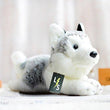 Toy - LightningStore Adorable Cute Sleeping Lying Siberian Husky Dog Doll Realistic Looking Stuffed Animal Plush Toys Plushie Children's Gifts Animals