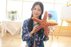 Toy - LightningStore Adorable Cute Starfish Star Fish Sea Shell Conch Stuffed Animal Doll Realistic Looking Plush Toys Plushie Children's Gifts Animals