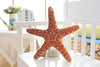 Toy - LightningStore Adorable Cute Starfish Star Fish Sea Shell Conch Stuffed Animal Doll Realistic Looking Plush Toys Plushie Children's Gifts Animals