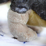 Toy - LightningStore Adorable Cute Timberwolves Siberian Husky Wolf Fox Doll Realistic Looking Stuffed Animal Plush Toys Plushie Children's Gifts Animals