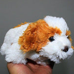 Toy - LightningStore Adorable Cute White And Orange Dog Puppy Doll Realistic Looking Stuffed Animal Plush Toys Plushie Children's Gifts Animals